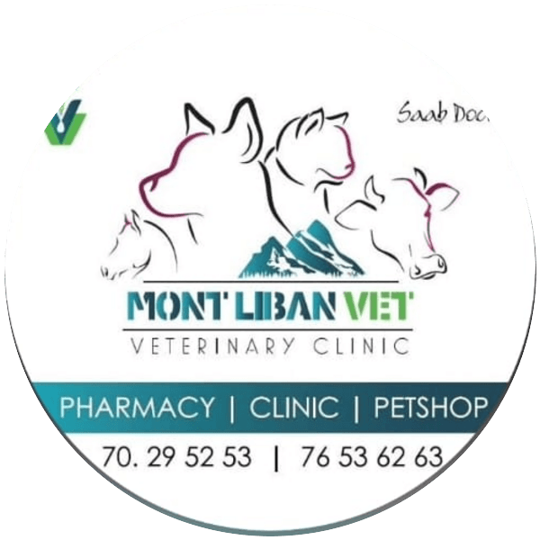 Mont Liban Vet